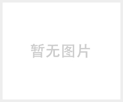 N单双座电动调节阀 电动阀门